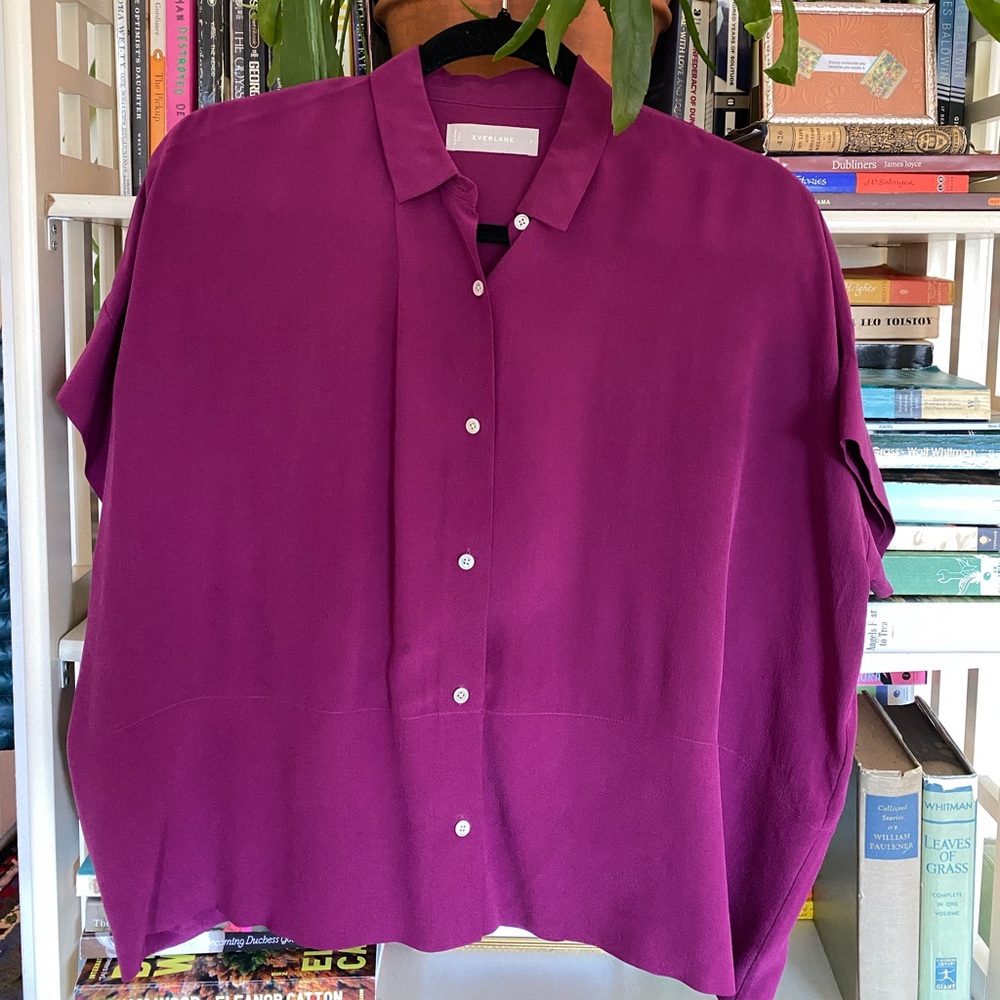Everlane Rich Purple Silk Button Down Shirt
